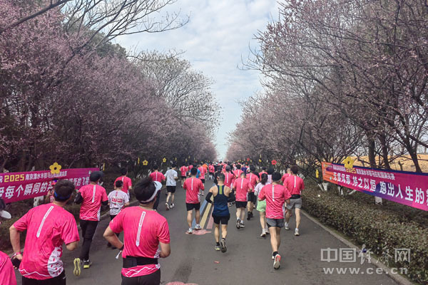 体旅游消费 体旅游消费