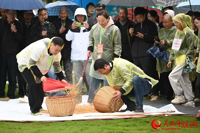 色的农副产, 安康石泉的, 集中展示蓝 色的农副产, 安康石泉的, 集中展示蓝