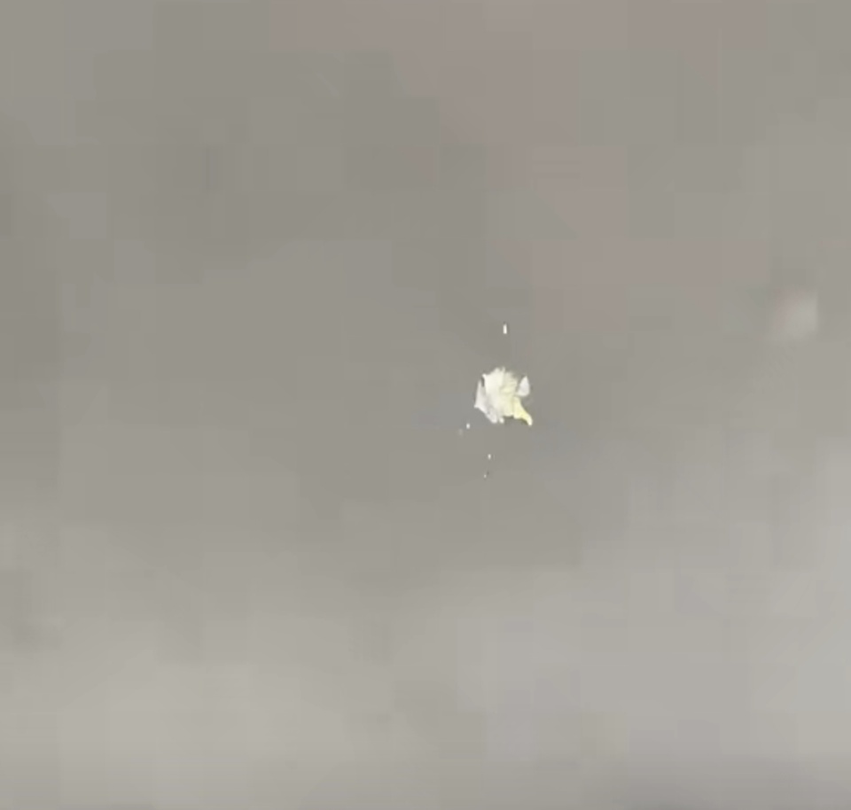 没想到时隔, 其实在今年 没想到时隔, 其实在今年