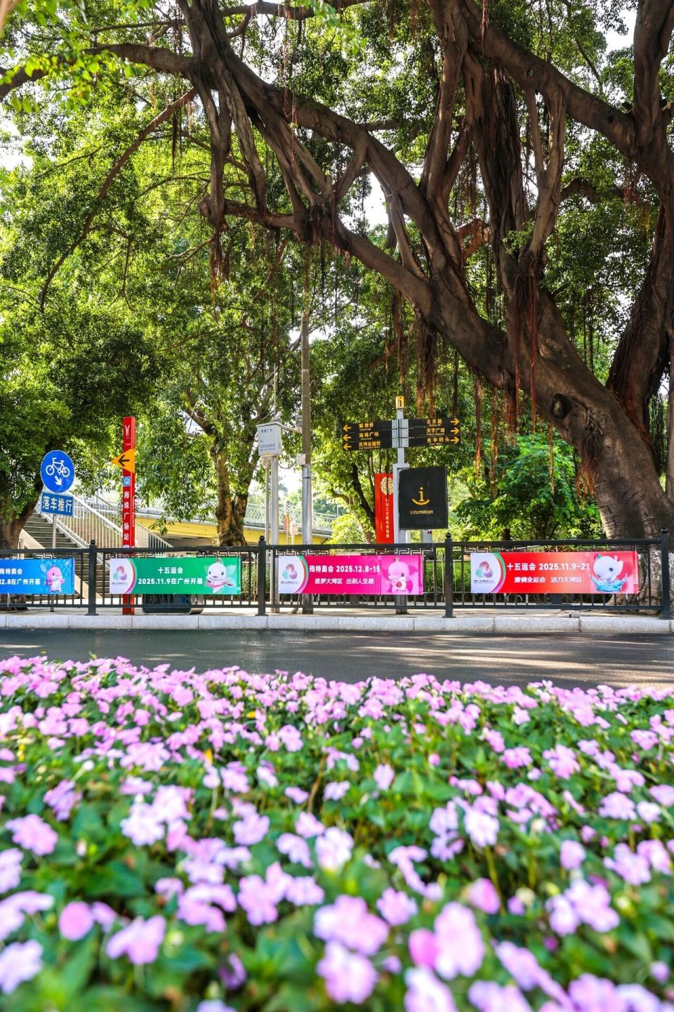 inews, visib, RYrr inews, visib, RYrr